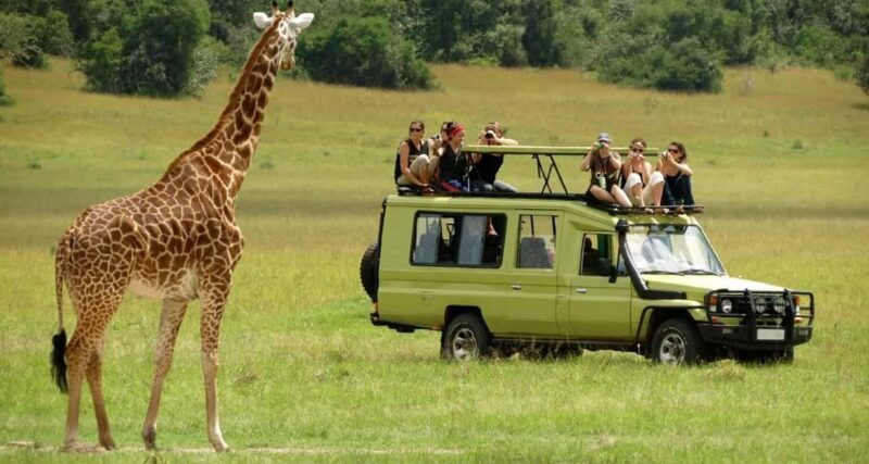 Arusha: 5-Day Wildebeest Migration Safari with Accommodation - Key Points