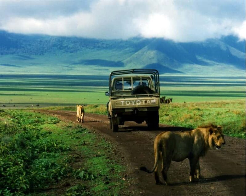 Arusha: 5-Day Wildebeest Migration Safari with Accommodation - Highlights & Authentic Experiences