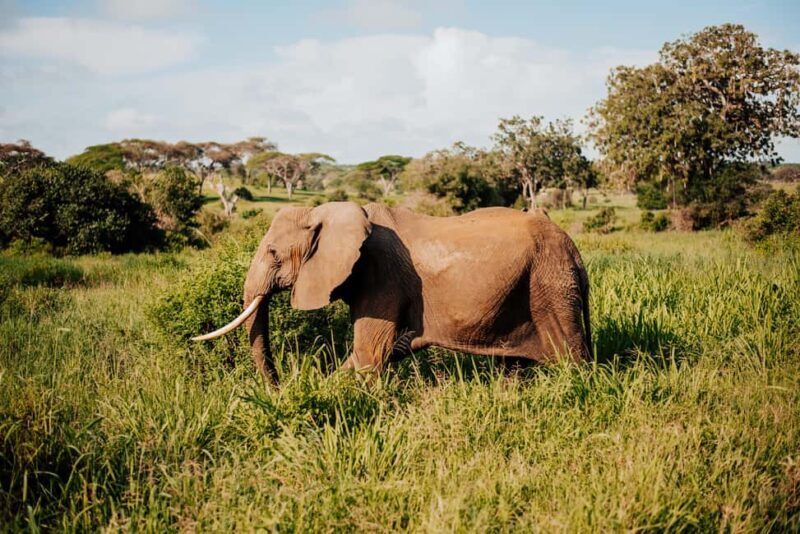 Arusha: 6-Day Great Migration Midrange Safari - Analyzing the Itinerary: What Makes Each Stop Special
