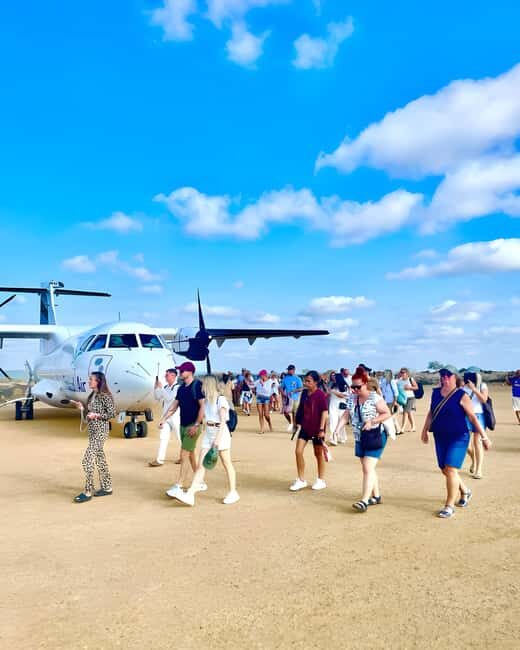 Arusha: 6-Day Safari to Tarangire, Serengeti, & Ngorongoro - Key Points