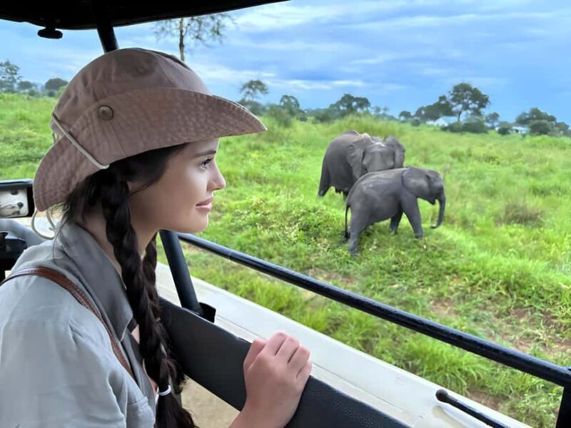 Arusha: 6-Day Safari to Tarangire, Serengeti, & Ngorongoro - An In-Depth Look at the 6-Day Safari Experience