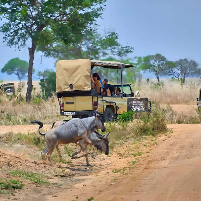 Arusha: 6-Day Safari to Tarangire, Serengeti, & Ngorongoro - Frequently Asked Questions