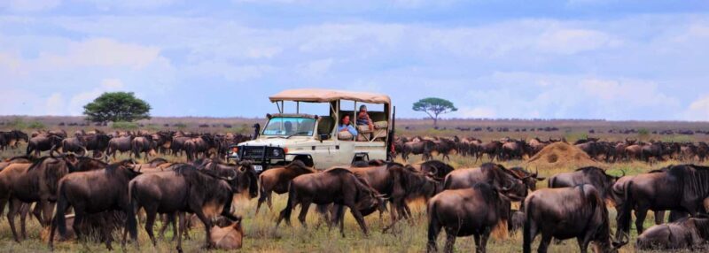 Arusha: 6Days Serengeti Wildebeest Migration Camping Safari - Key Points
