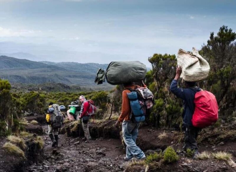 Arusha: 7-Day Mount Kilimanjaro Machame Route Trek - An In-Depth Look at the 7-Day Machame Route Trek