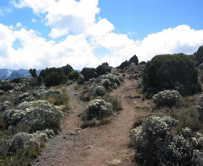 Arusha: 7-Day Mount Kilimanjaro Machame Route Trek - Practical Tips for the Trekker