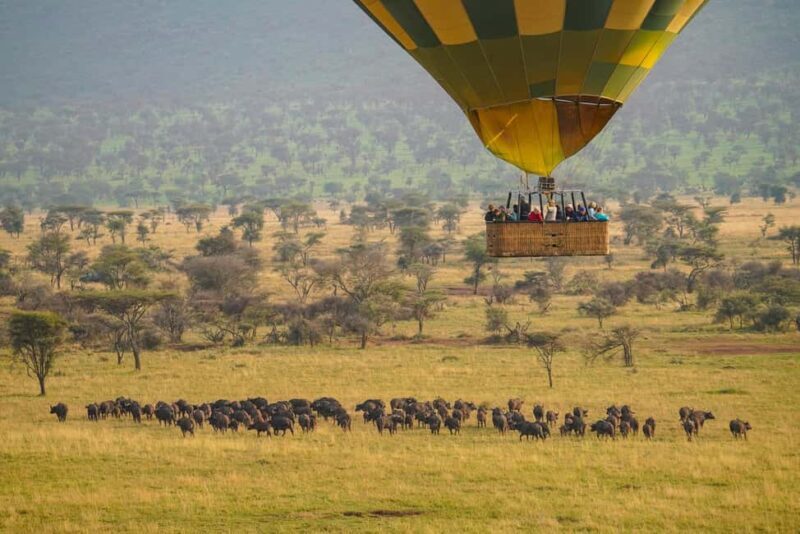 Arusha: 7-Day Safari to Tarangire, Serengeti, and Ngorongoro - Who Will Love This Safari?