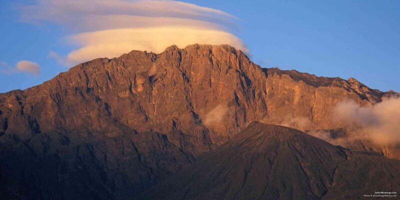 ARUSHA: 8-Day Mount Meru Trekking & Northern Circuit Safari - Exploring the Itinerary: From Mountain to Safari