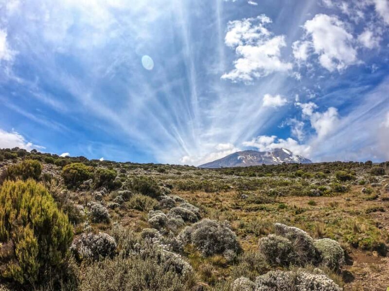 Arusha: 9-Day Kilimanjaro Northern Circuit Route - Key Points
