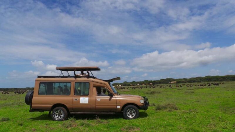 Arusha: 9 Day Multi-Park Flexible Migration Roundtrip safari - Final Thoughts: Who Is This Safari Best For?
