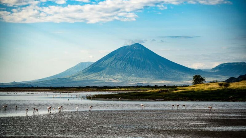 Arusha: 9 Day Multi-Park Flexible Migration Roundtrip safari - FAQ