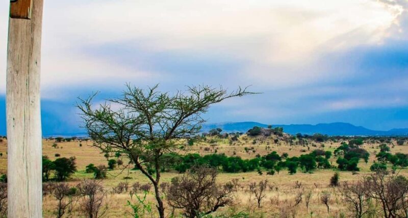 Arusha: 9-Day Ultimate Safari Adventure - Introduction to the 9-Day Safari Experience