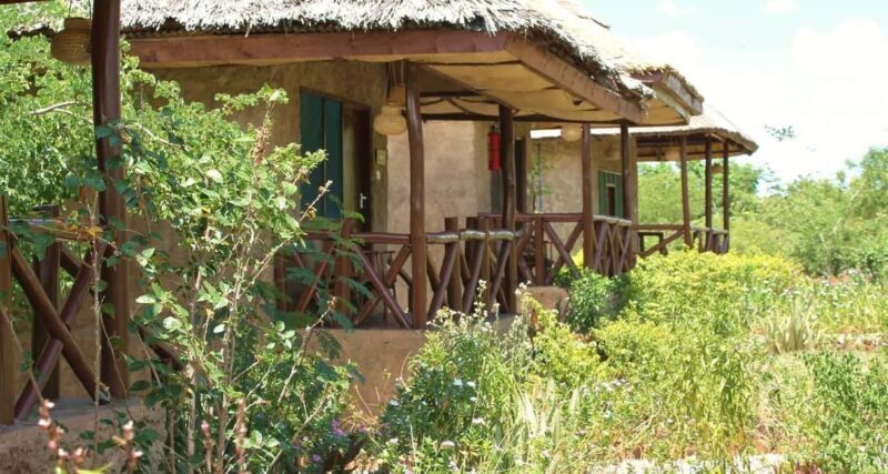 Arusha: 9-Day Ultimate Safari Adventure - Detailed Breakdown of the Itinerary