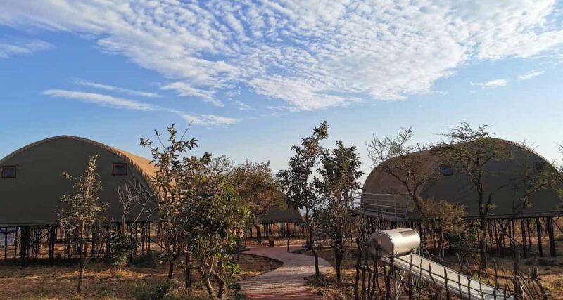 Arusha: 9-Day Ultimate Safari Adventure - Wildlife and Landscape Highlights