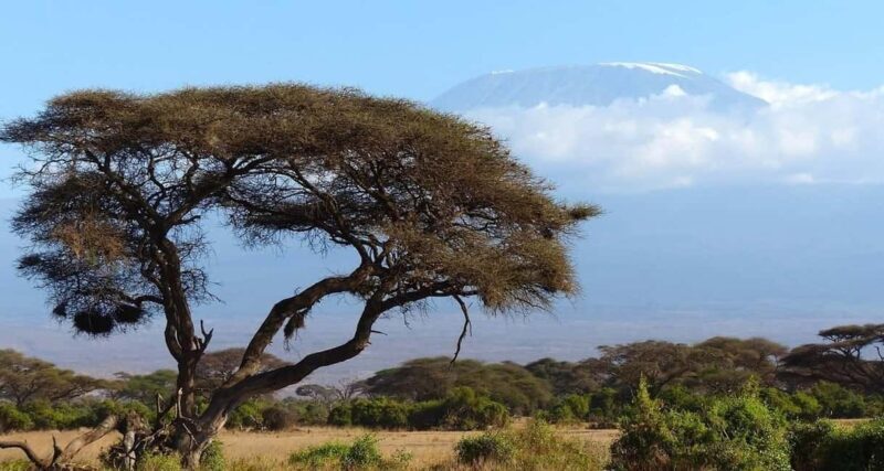 Arusha: 9-Day Ultimate Safari Adventure - Final Thoughts