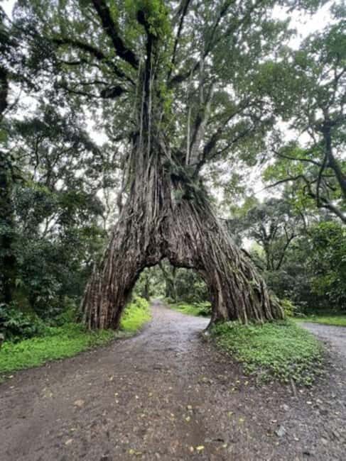 Arusha: Arusha National Park Day Tour - FAQ