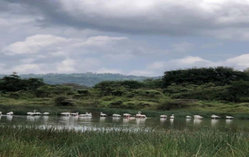 Arusha: Arusha National Park Day Trip - Authentic Experiences from Past Travelers