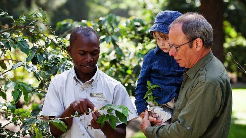 Arusha: Coffee Lodge Guided Tour with Coffee Tasting - What Makes This Tour Valuable?