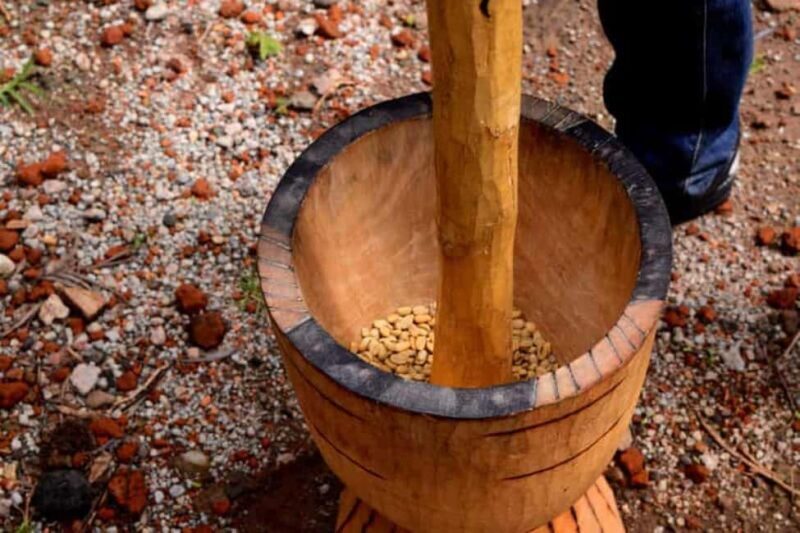 Arusha: Coffee Plantation Tour with Tasting and Hands-On - Exploring Tanzanian Coffee Culture