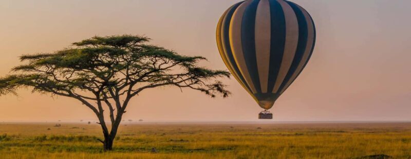 Arusha: Day Trip Joining Safari in Tarangire National Park - Detailed Breakdown of the Itinerary