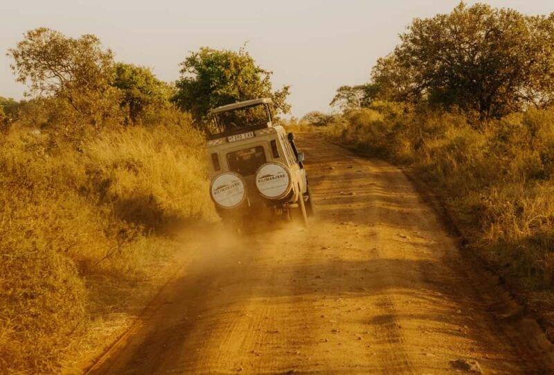 Arusha: Day Trip to Arusha National Park with Lunch. - What Makes this Tour Stand Out?