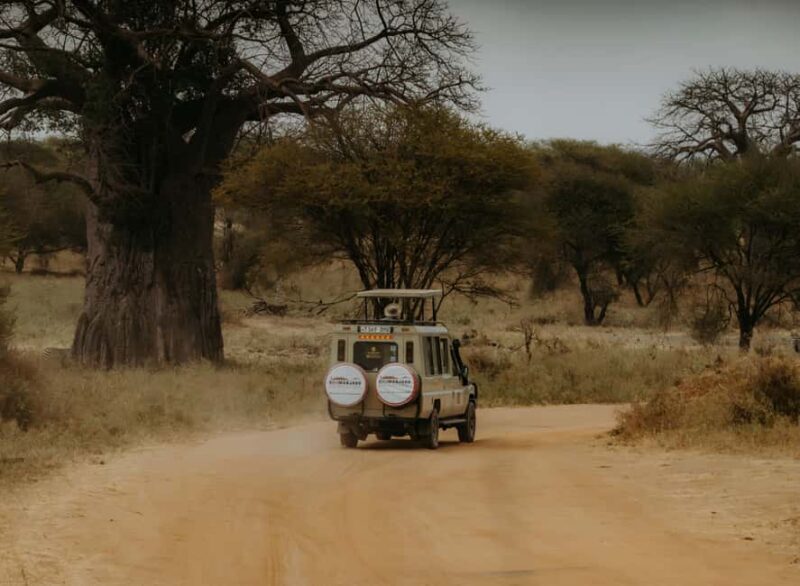 Arusha: Day Trip to Arusha National Park with Lunch. - Price and Value Analysis