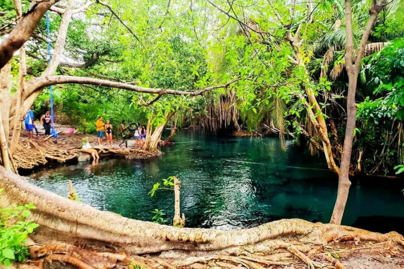 Arusha: Day Trip to Kikuletwa Hot Springs Swimming - Key Points