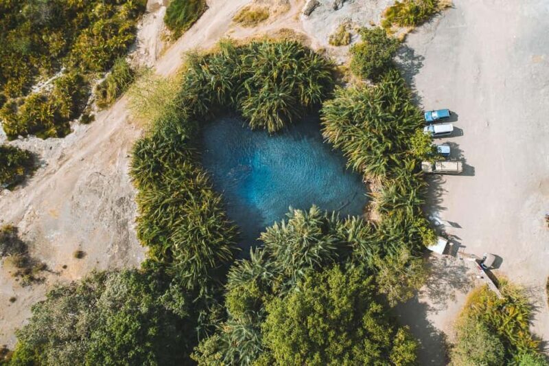 Arusha: Day Trip to Kikuletwa Hot Springs Swimming - The Practical Details