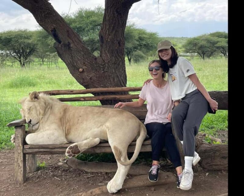 Arusha: Day Trip to Serval Wildlife - Feed Giraffes & Lions - Introduction to Serval Wildlife Sanctuary