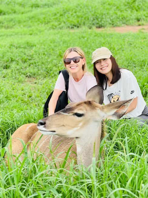 Arusha: Day Trip to Serval Wildlife - Feed Giraffes & Lions - Transport, Timing, and Group Size