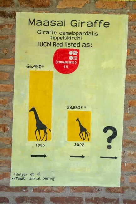 Arusha: Giraffe Centre Guided Tour with Wildlife Walk - Introduction: What to Expect from the Arusha Giraffe Centre Guided Tour