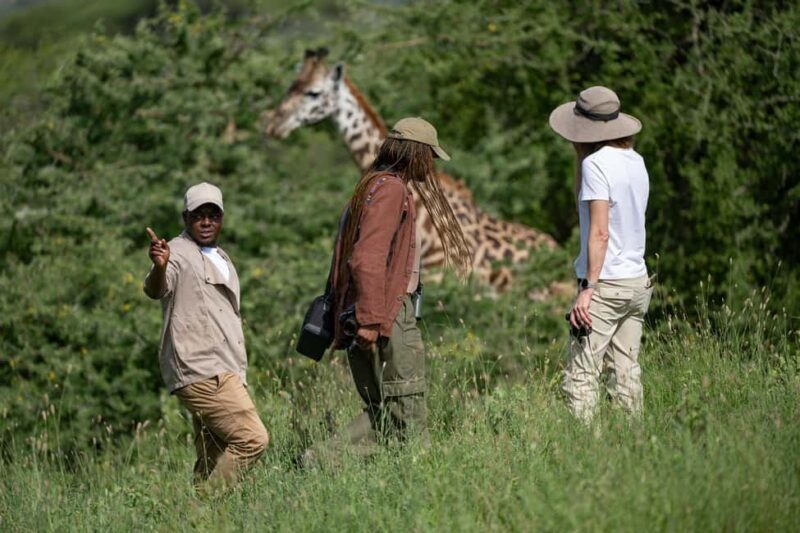 Arusha: Giraffe Centre Guided Tour with Wildlife Walk - Final Thoughts: Who Is This Tour Best For?