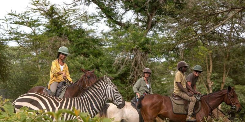 Arusha: Horseback Riding Safari in Dolly Estate - Key Points