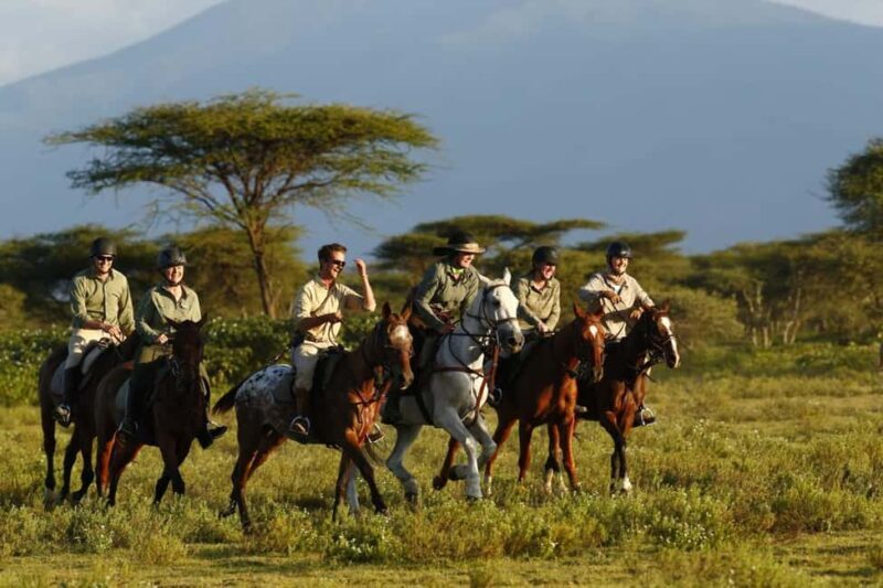 Arusha: Horseback Riding Safari in Dolly Estate - Exploring Dolly Estate on Horseback