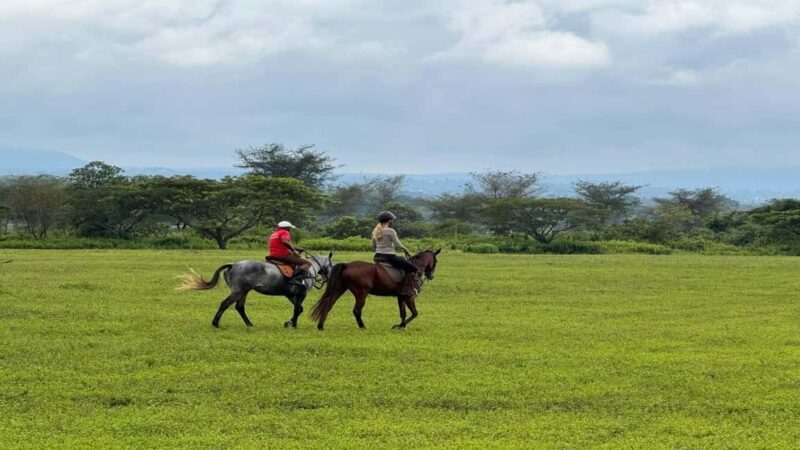 Arusha: Horseback Riding Safari in Dolly Estate - Why Choose This Tour?