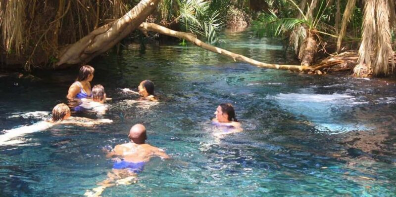 Arusha: Kikuletwa Hot Springs Day Trip with Lunch - Key Points