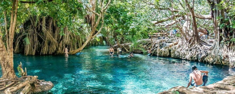 Arusha: Kikuletwa Hot Springs Day Trip with Lunch - What Travelers Say