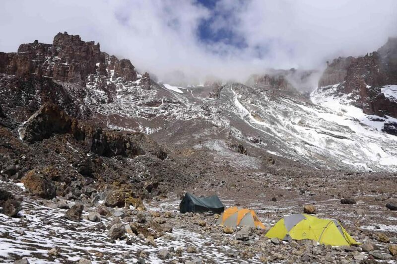 Arusha: Kilimanjaro Day Hike to Mandara Hut - Discovering Kilimanjaro in a Day: What to Expect