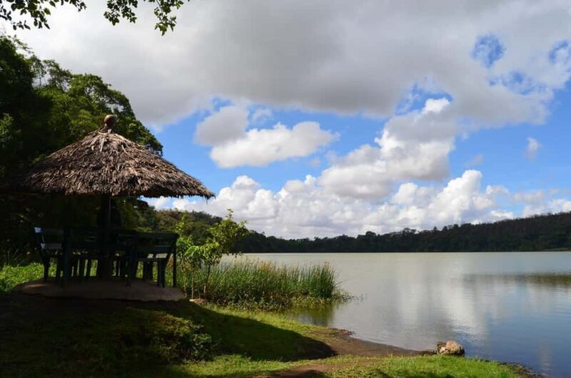 Arusha: Lake Duluti Canoeing and Bird Watching Tour - Detailed Breakdown of the Experience