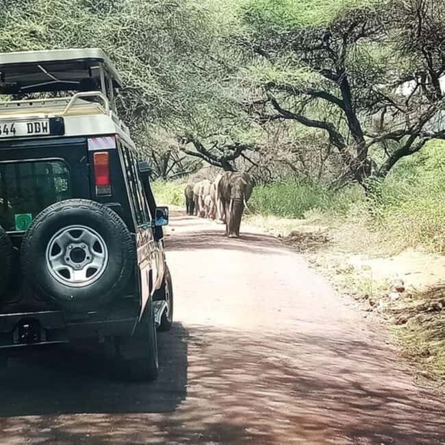 Arusha: Lake Manyara National Park Full-Day Safari - Why This Tour Is a Great Choice