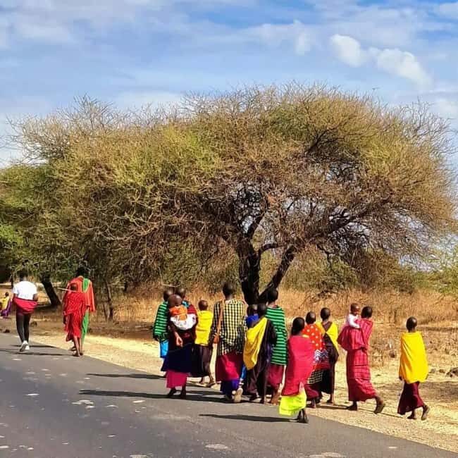 Arusha: Maasai Boma Cultural Day Trip - Key Points