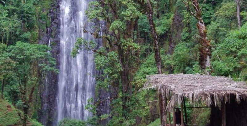 Arusha: Materuni Waterfall, Coffee Plantation, and Hot - Exploring Kilimanjaro’s Hidden Gems: A Review of the Materuni Waterfall, Coffee Plantation, and Hot Spring Tour