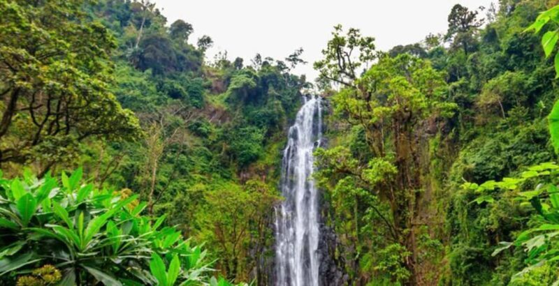 Arusha: Materuni Waterfall, Coffee Plantation, and Hot - Key Points