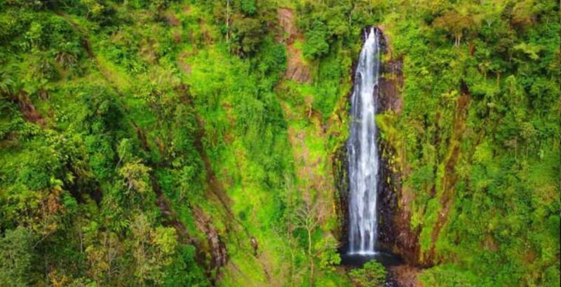 Arusha: Materuni Waterfall, Coffee Plantation, and Hot - Practical Details: What to Expect