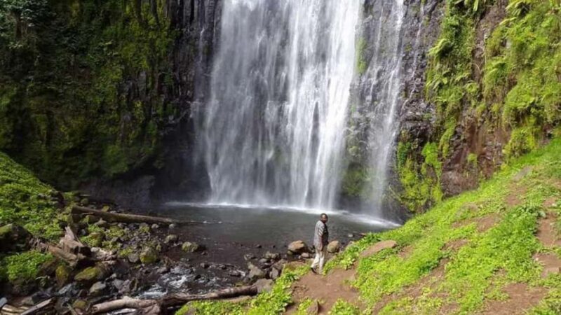 Arusha: Materuni Waterfall, Coffee Tour, and Hot Springs - Key Points