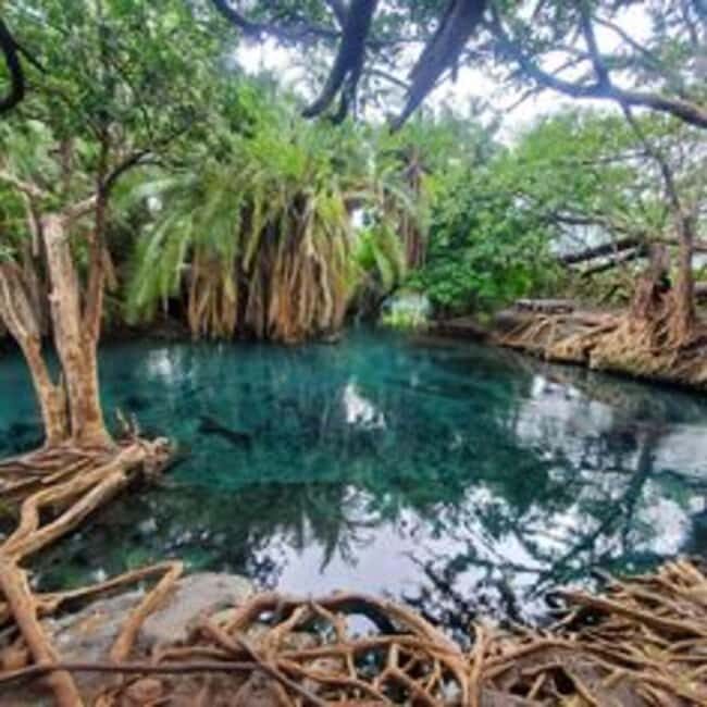 Arusha: Materuni Waterfalls, Coffee Tour, and Hot Springs - Additional Practical Details