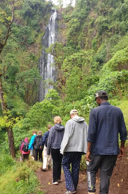 Arusha: Materuni Waterfalls, Hot Springs and/or Coffee Tour - Key Points