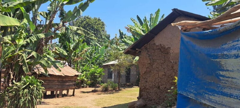 Arusha: Meru Village Tour (Walking or Bike) - Key Points