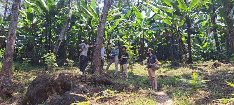 Arusha: Meru Village Tour (Walking or Bike) - Transport, Group Size, and Practical Details