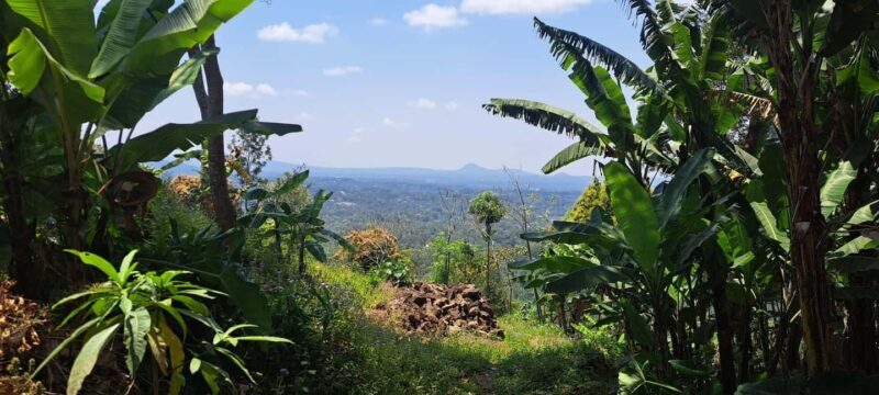 Arusha: Meru Village Tour (Walking or Bike) - FAQ