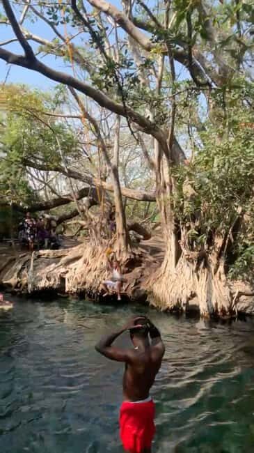 Arusha/Moshi Hot Springs Tour (Chemka) by Kingstone Asilia - Who Should Consider This Tour?